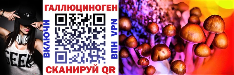 Галлюциногенные грибы Psilocybe kraken онион Кольчугино